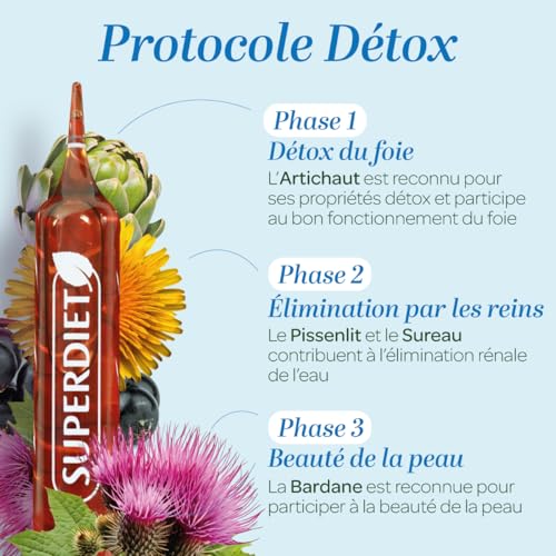 SUPERDIET Détox 3 Phases - Plan en 3Étapes avec Phytothérapie, Fabrication Française - 30 Ampoules 15 ml